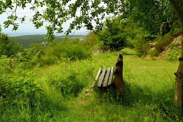 的崇高价值 的崇高价值