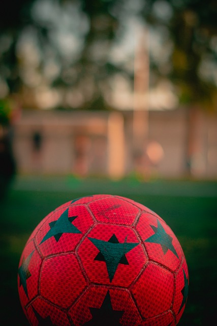 了莱万多夫 了莱万多夫