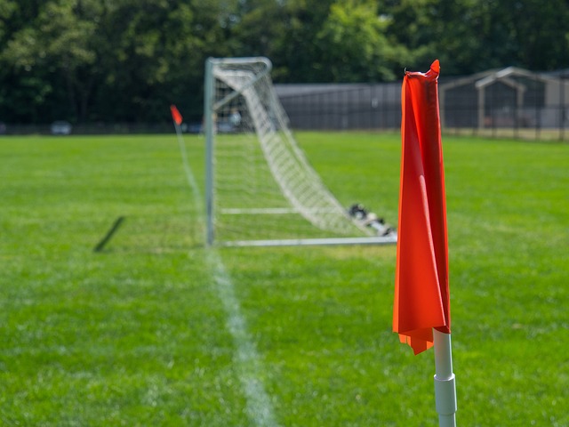 的表现堪称 的表现堪称