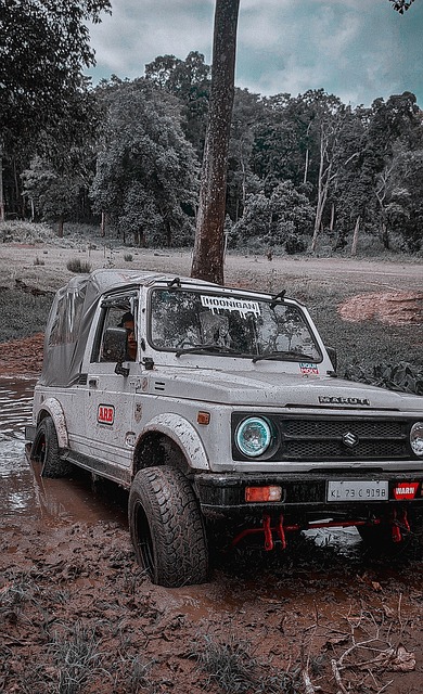 在近年的国 在近年的国